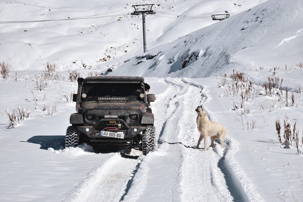 Winter Car Accessories